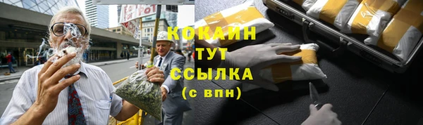 прущие крисы Беломорск