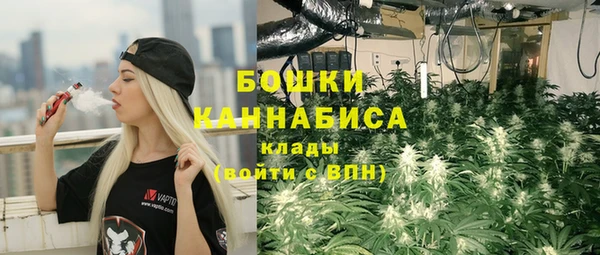 прущие крисы Беломорск
