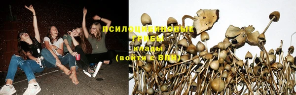 МДМА Белокуриха