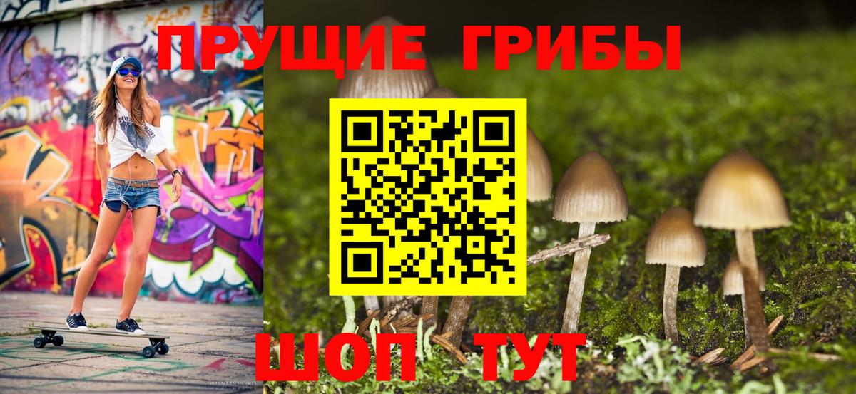 Галлюциногенные грибы мухоморы Волжск