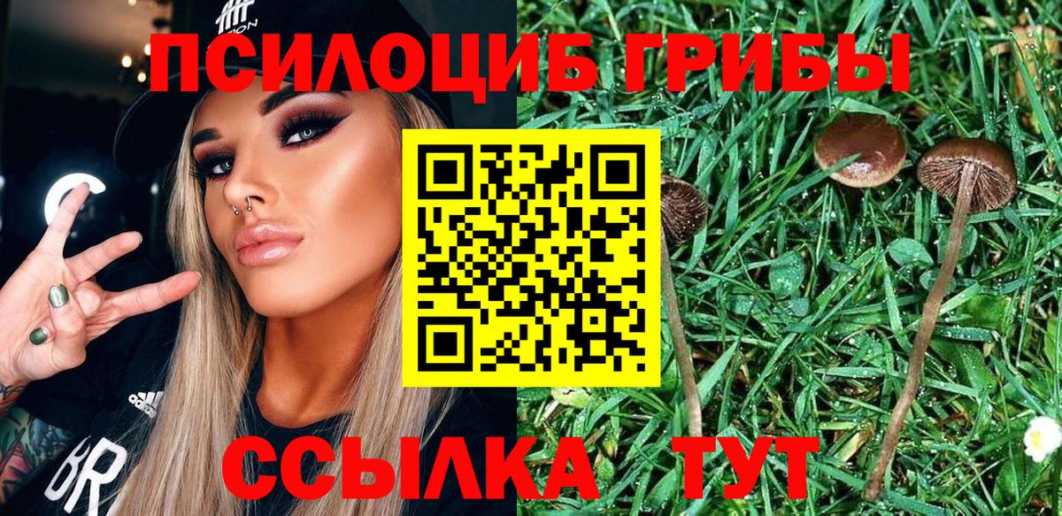 Псилоцибиновые грибы Psilocybe  Псилоцибиновые грибы MAGIC MUSHROOMS  наркотики  Вход с VPN  Волжск 